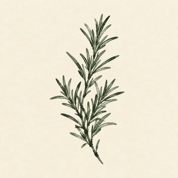Rosemary