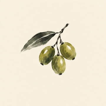 Olive