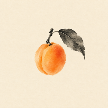 Apricot