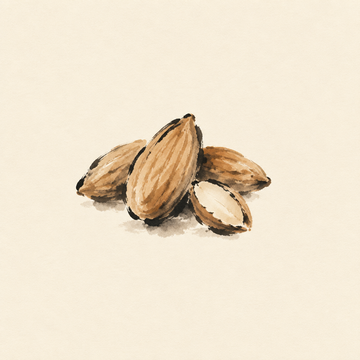 Almond