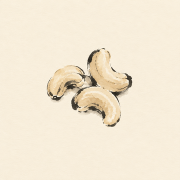 Cashew