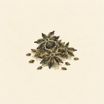 Aniseed
