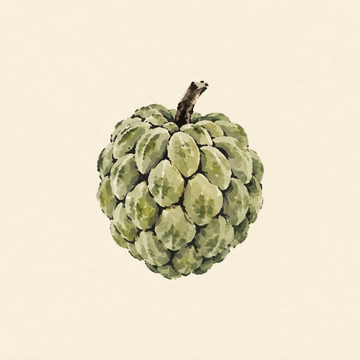 Sugar apple