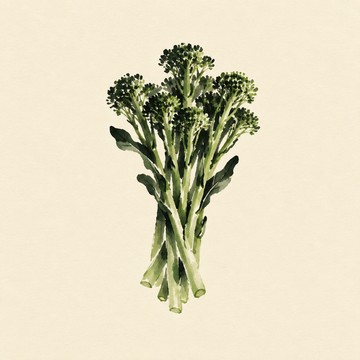 Broccolini