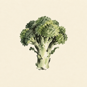 Broccoli
