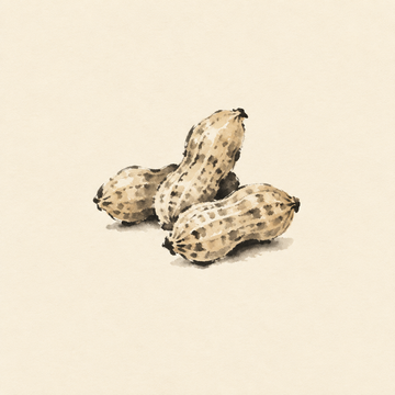 Peanut