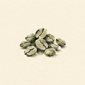 Green coffee
