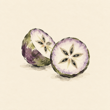 Star apple