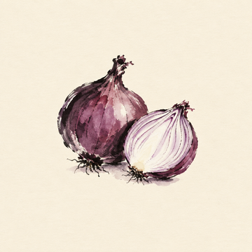 Onion