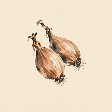 Shallot
