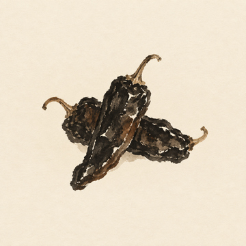 Mulato chile