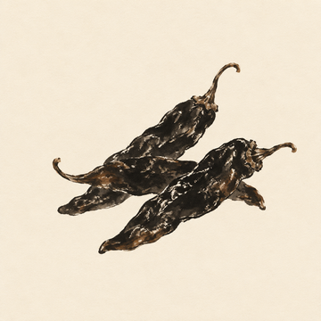 Pasilla chile