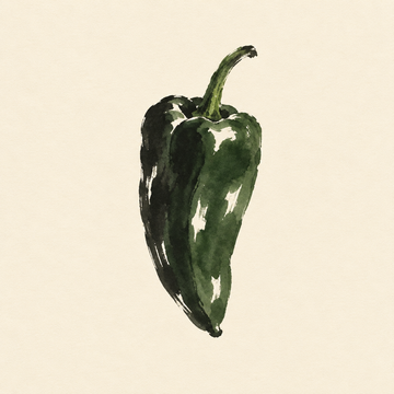 Poblano chile