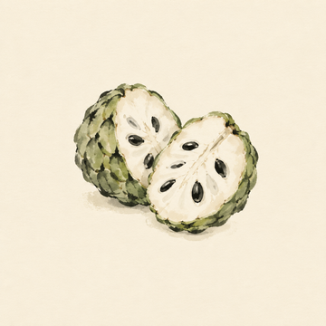Cherimoya