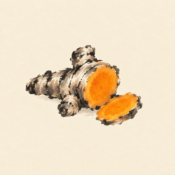Turmeric