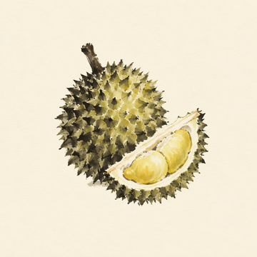 Durian