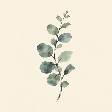 Eucalyptus