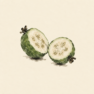 Feijoa