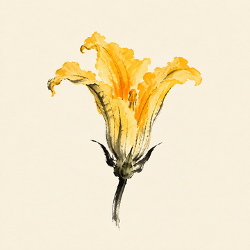 Squash blossom
