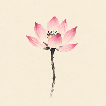 Lotus flower