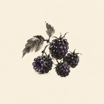 Black raspberry