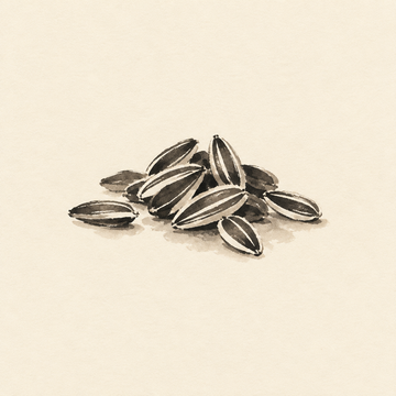 Sunflower seeds