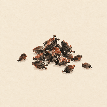 Grains of paradise