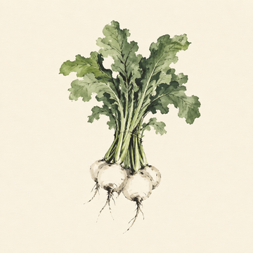 Turnip greens