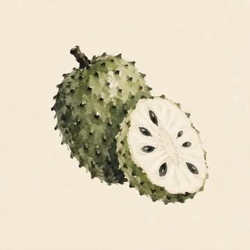 Soursop