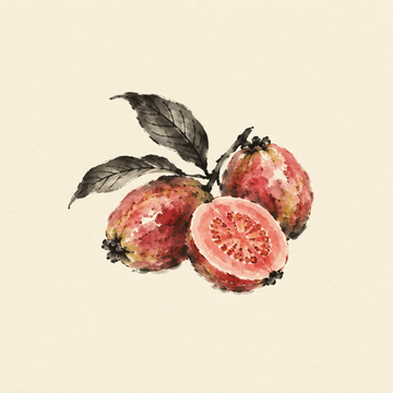 Strawberry guava
