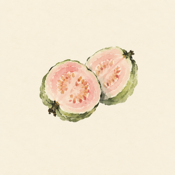 Guava