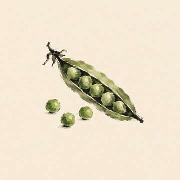 Pea