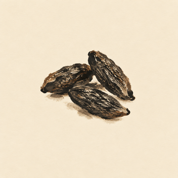 Tonka bean