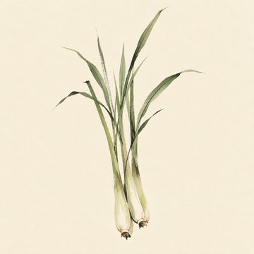 Lemongrass