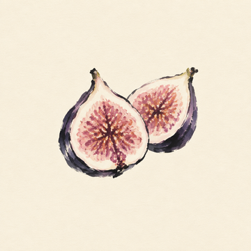 Fig