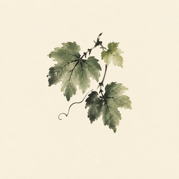 Grape leaf