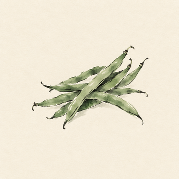 Green bean