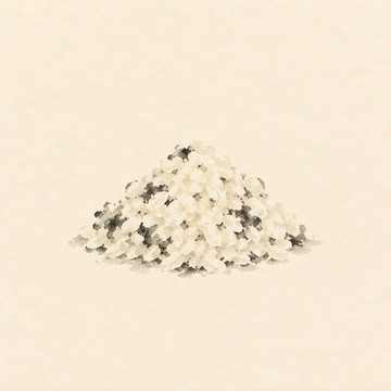Koji