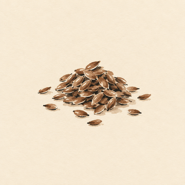 Flax