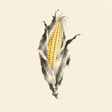 Corn