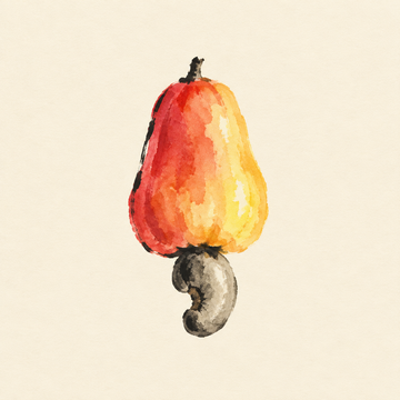 Cashew apple