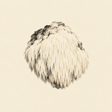 Lion's mane