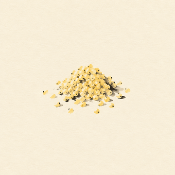 Millet
