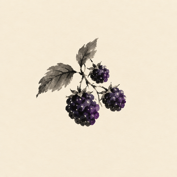 Blackberry
