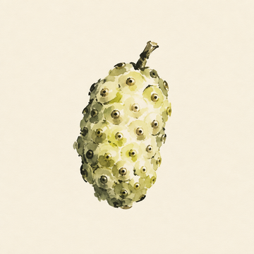 Noni