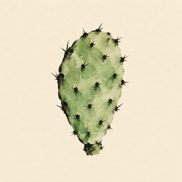 Nopal
