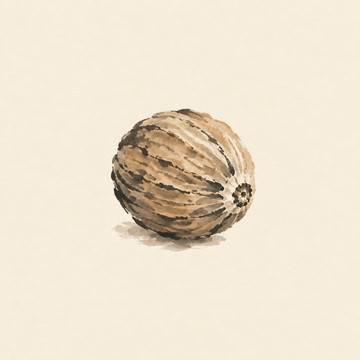 Nutmeg