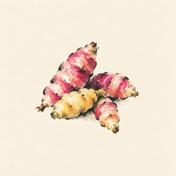 Oca