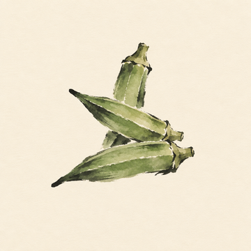 Okra