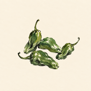 Padrón pepper
